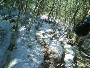 Θεσπρωτία: Τσιμεντοποίησαν το ρέμα και δεν πλήρωσαν το πρόστιμο